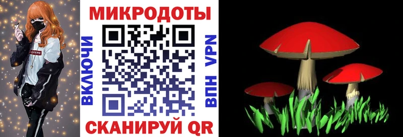 Псилоцибиновые грибы GOLDEN TEACHER  Северодвинск 